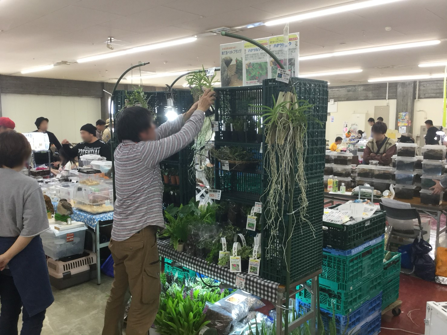 2019年11月17日 浜松 静岡県浜松市総合産業展示館 エキゾチックレプタイルエキスポ Exotic Reptile Expo