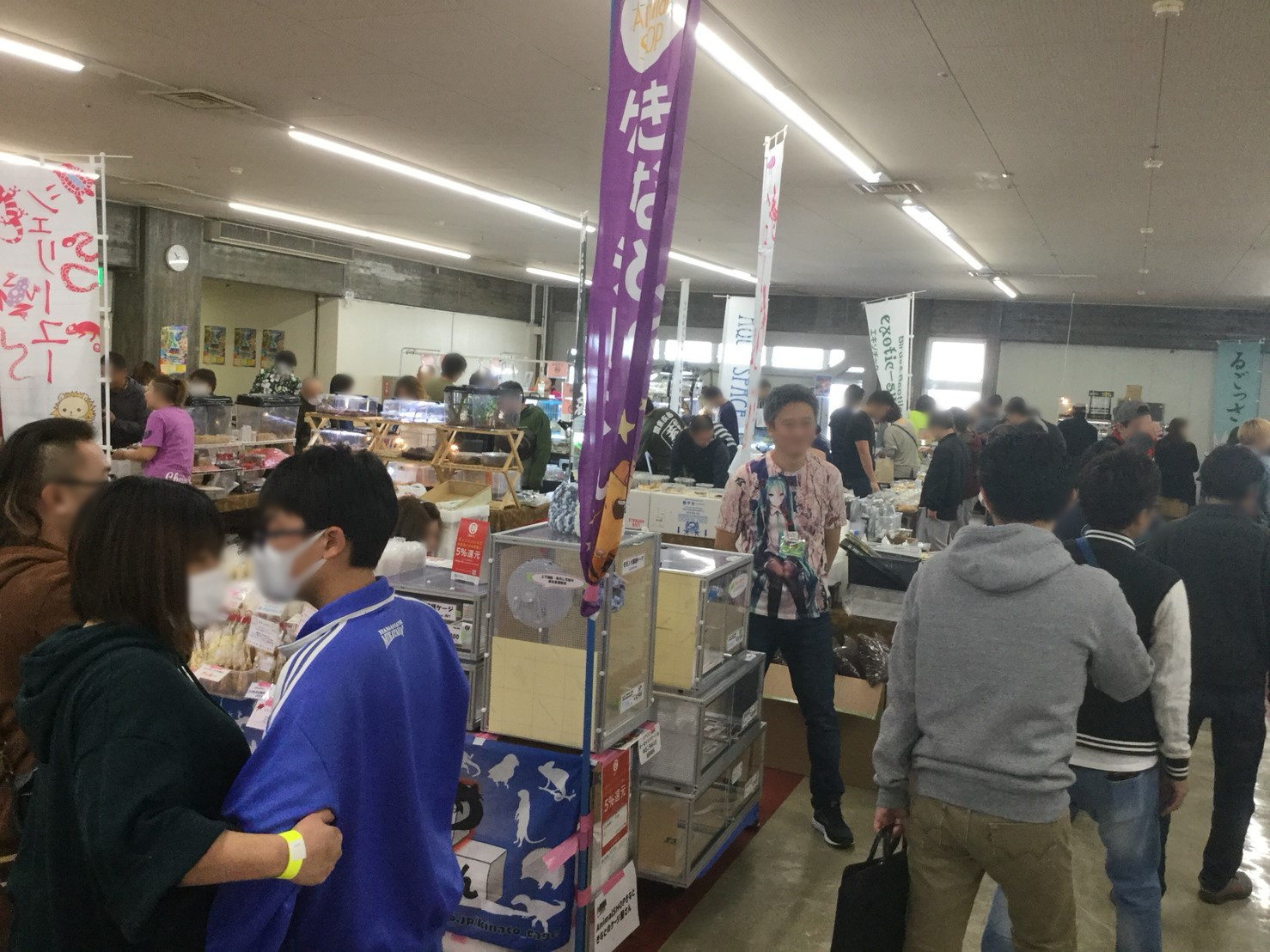 2019年11月17日 浜松 静岡県浜松市総合産業展示館 エキゾチックレプタイルエキスポ Exotic Reptile Expo