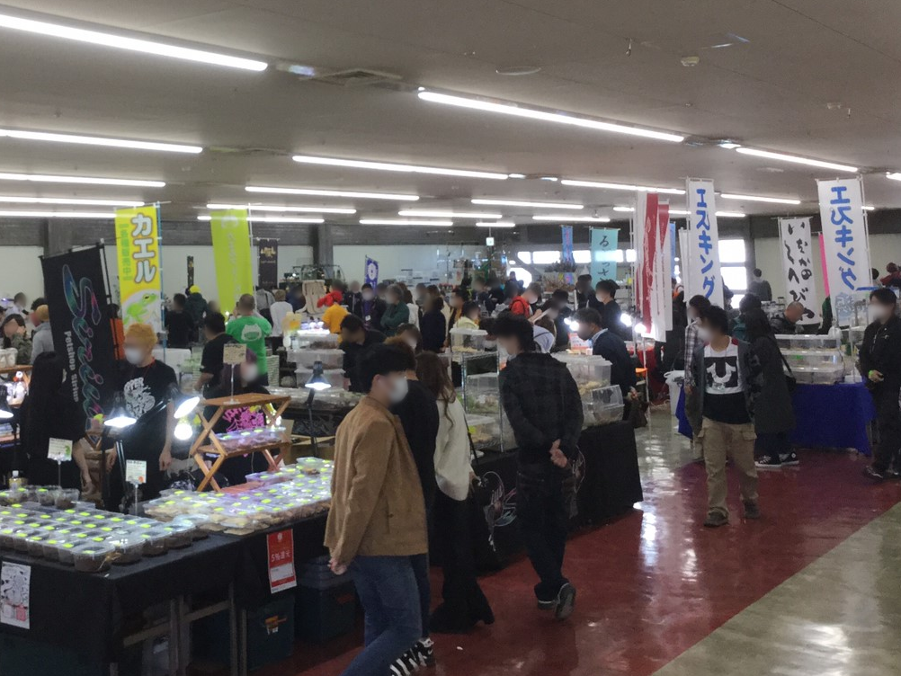 2020年 3月15日 浜松 静岡県浜松市総合産業展示館 エキゾチックレプタイルエキスポ Exotic Reptile Expo