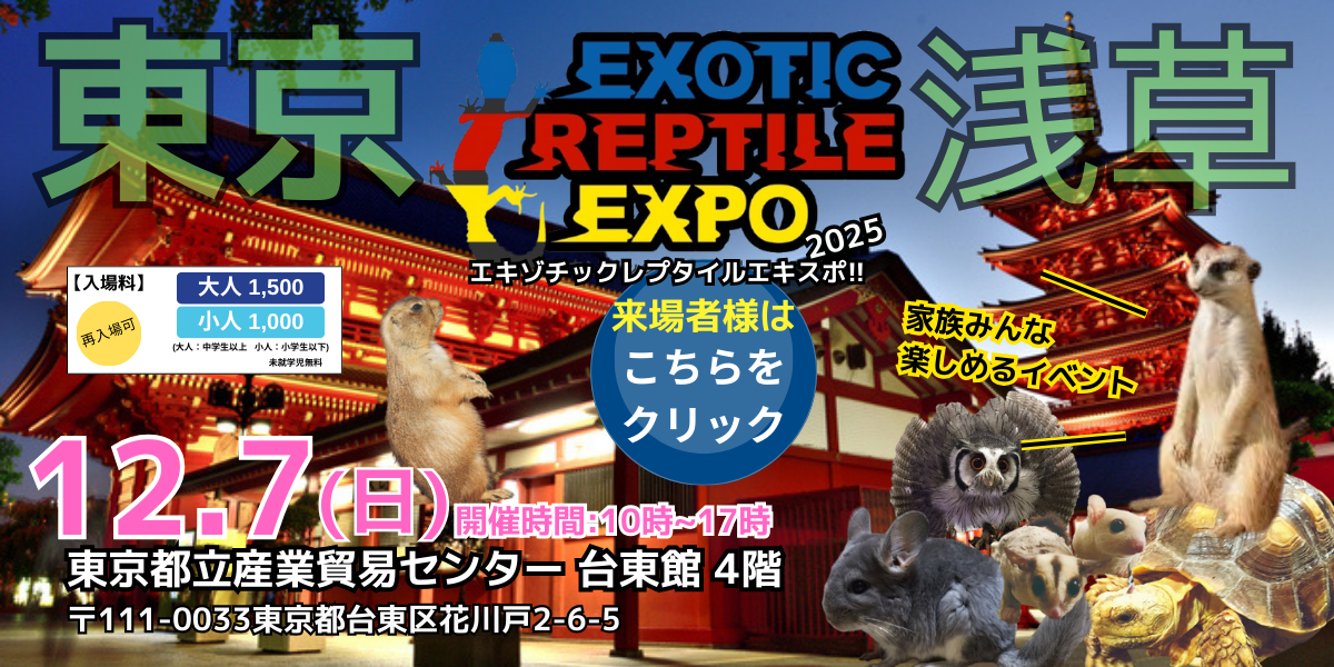 ぴ*ん様 ‼️リサイクルFORTへフォロー‼️2025/8/14中国物買取①‼️ 出張買取なら、東京、埼玉を中心にどんな不用品もリサイクル