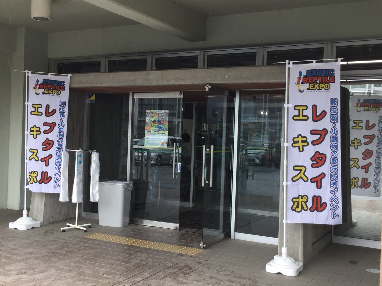 2019年 3月 3日 浜松 静岡県浜松市総合産業展示館 エキゾチックレプタイルエキスポ Exotic Reptile Expo