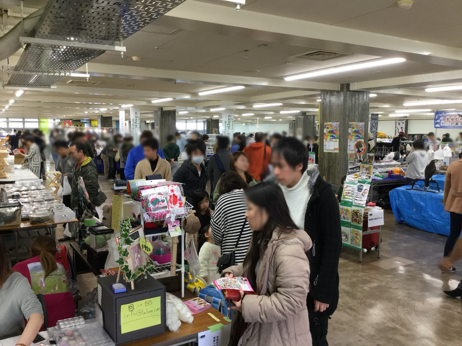 2019年 3月 3日 浜松 静岡県浜松市総合産業展示館 エキゾチックレプタイルエキスポ Exotic Reptile Expo